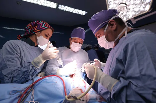 Prof. Giv Sharifi surgical team in the operating room