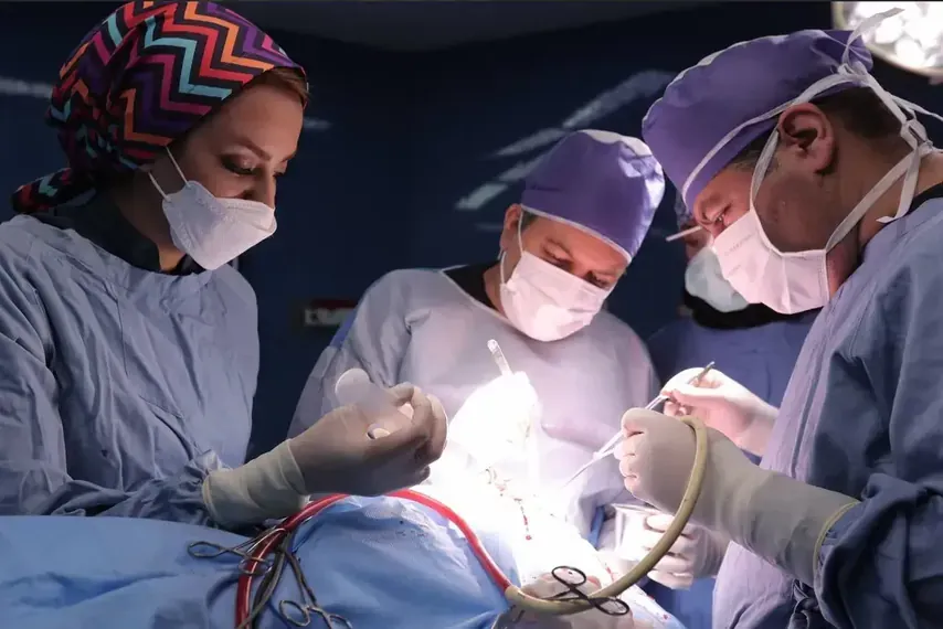 Brain surgery with Prof. Giv Sharifi in Dubai and Tehran